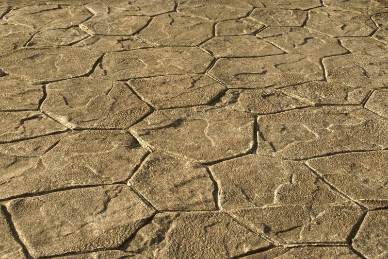 Decorative Concrete Repair in Everett, WA
